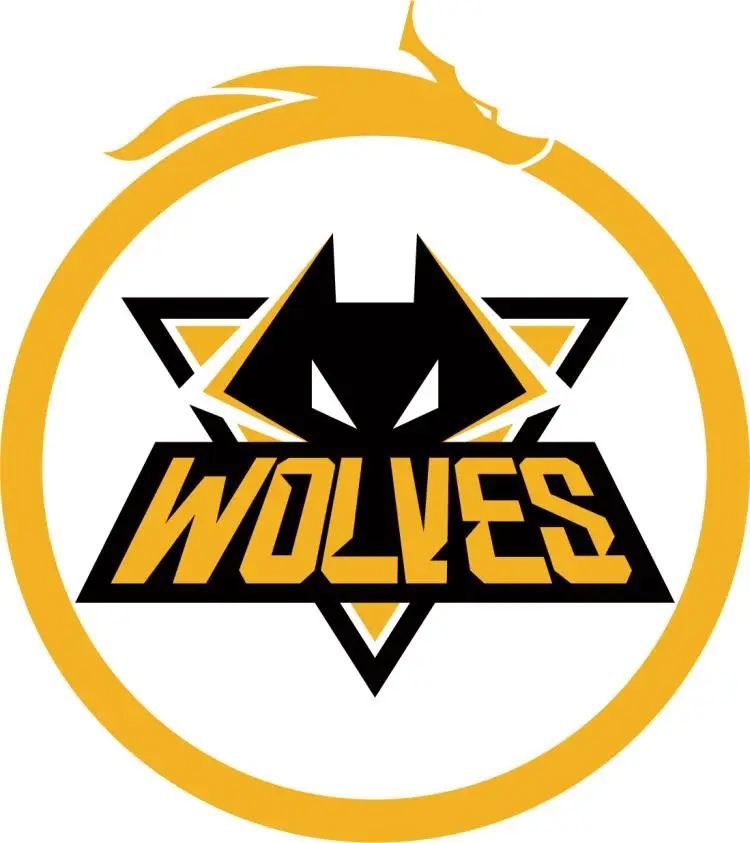 最有趣的 CS2 职业记录 2024 ；